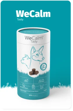 Check out the information about WeCalm TASTY.