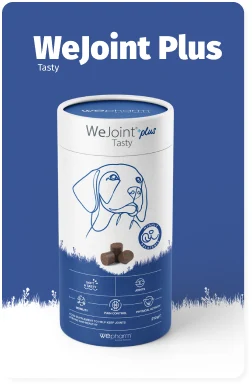 Check out the information about WeJoint Plus TASTY.