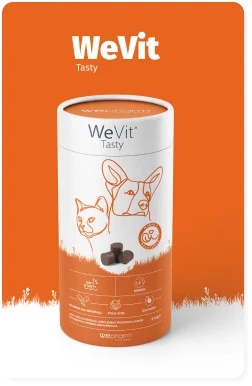 Check out the information about WeVit TASTY.