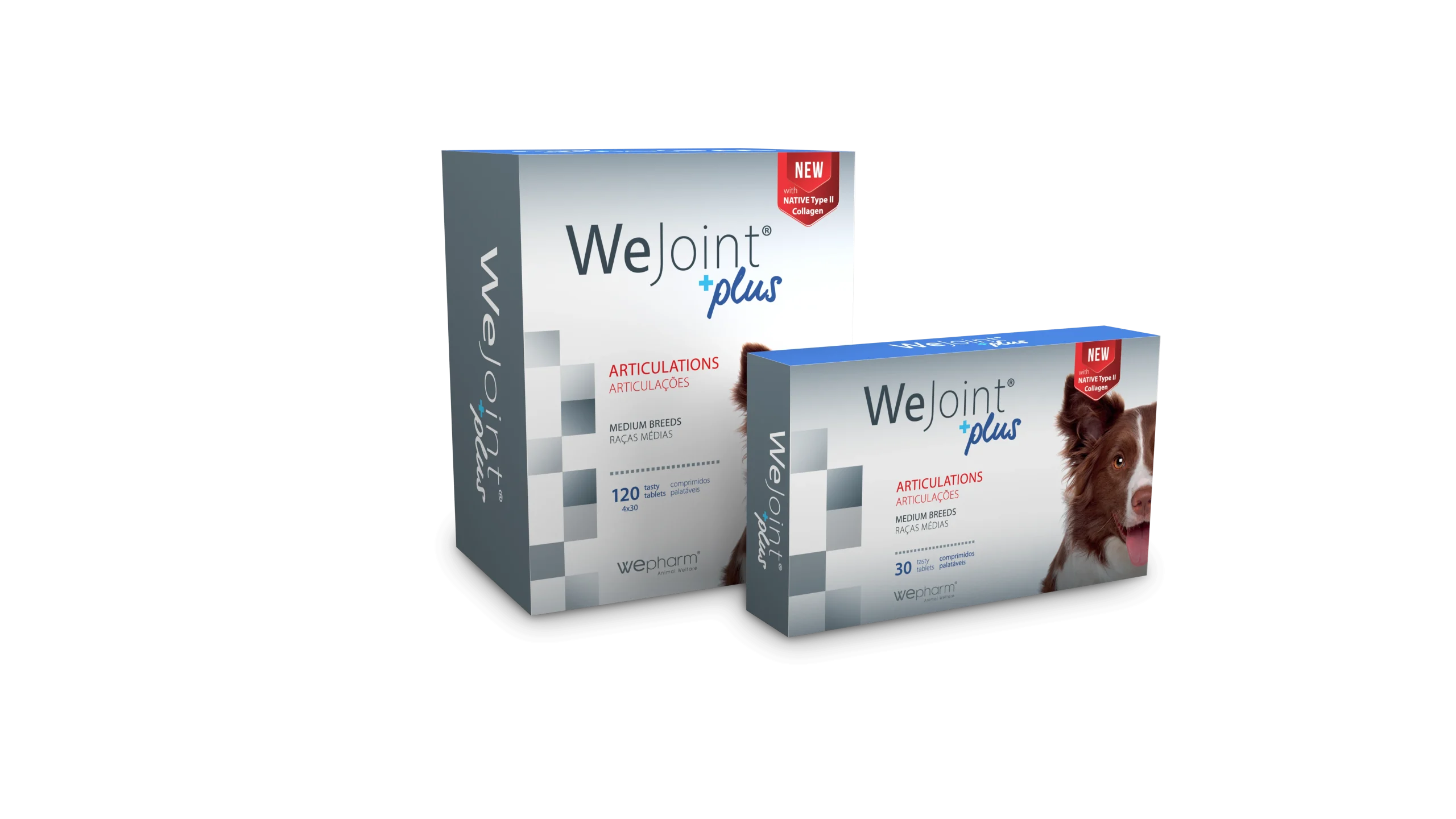 WeJoint Plus